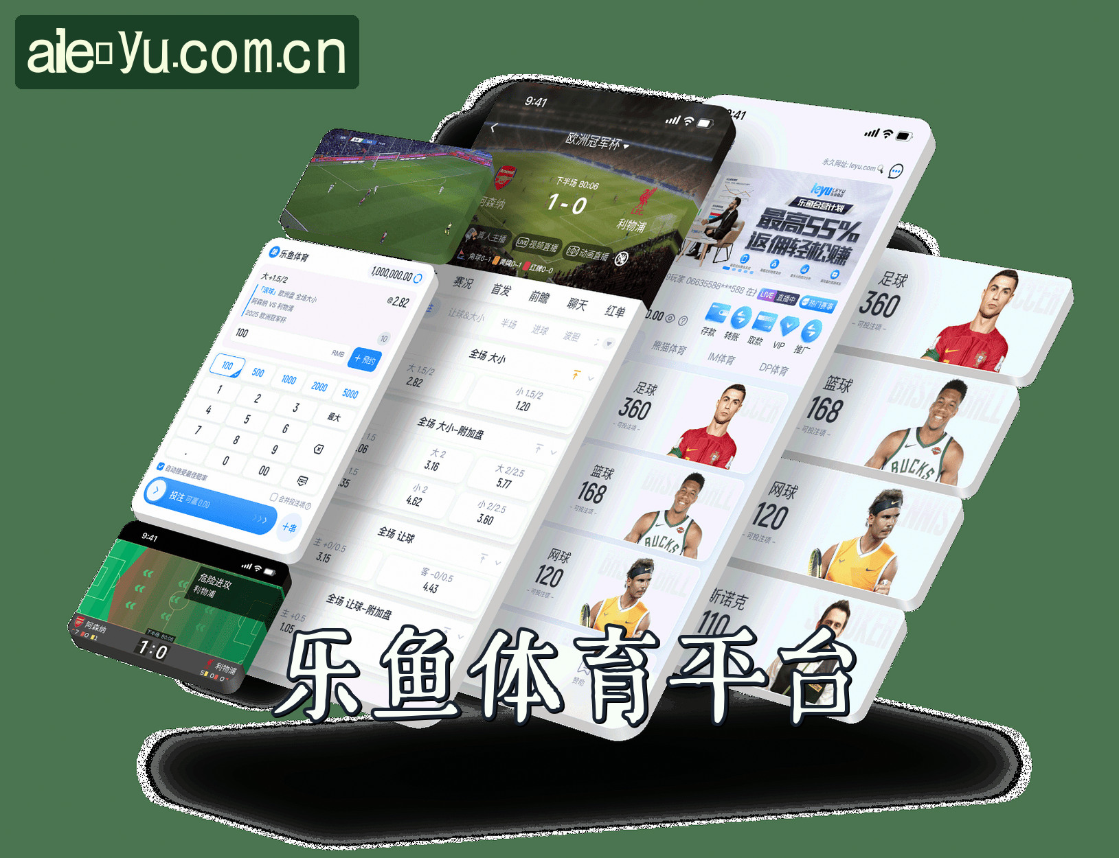 关于我们信息