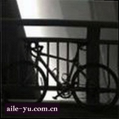 李总
